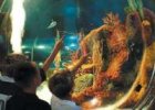 Portsmouth - Blue Reef Aquarium